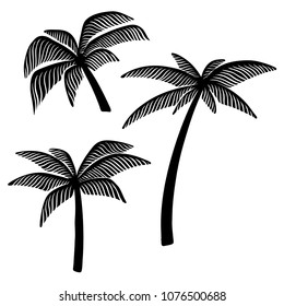 Set of hand drawn palm tree illustrations. Design element for poster, card, banner, t shirt. Vector  image