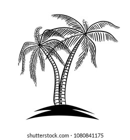 Set of hand drawn palm tree illustrations. Design element for poster, card, banner, t shirt. Vector  image