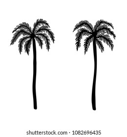Set of hand drawn palm tree illustrations. Design element for poster, card, banner, t shirt. Vector  image