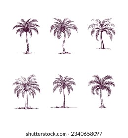 conjunto de palmeras dibujadas a mano aisladas en fondo blanco