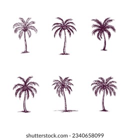 set of hand drawn palm tree isolated on white background