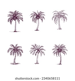 conjunto de palmeras dibujadas a mano aisladas en fondo blanco