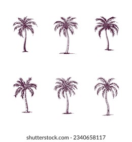 conjunto de palmeras dibujadas a mano aisladas en fondo blanco