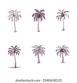 set of hand drawn palm tree isolated on white background