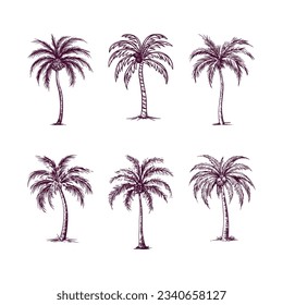 set of hand drawn palm tree isolated on white background