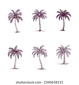 set of hand drawn palm tree isolated on white background