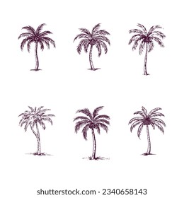 conjunto de palmeras dibujadas a mano aisladas en fondo blanco