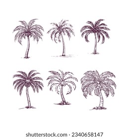 set of hand drawn palm tree isolated on white background