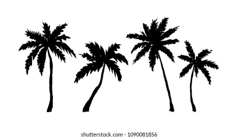 Set of hand drawn palm trees isolated on white. Vector illustration