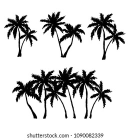 Set of hand drawn palm trees isolated on white. Vector illustration