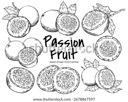 Set of hand drawn passion fruit outline drawing illustration