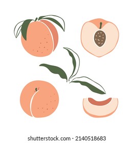 Juego de melocotones dibujados a mano