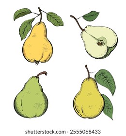 Set of hand drawn pears in color sketch style. Sliced ​​and whole ripe pears. Vintage style. Isolated on white background. Hand drawn.