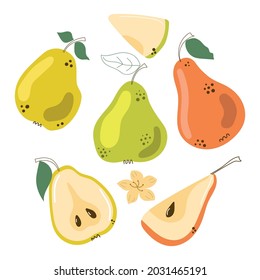 Set of hand drawn pears. Modern flat illustration.