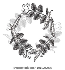 Set of hand drawn peas illustrations isolated on white background. Vector Floral wreath. Graphic round border.