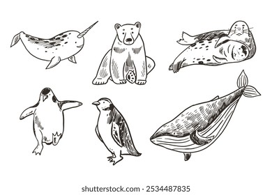 Conjunto de pinguins desenhados à mão, animais marinhos. Ilustração de linha de vetor.