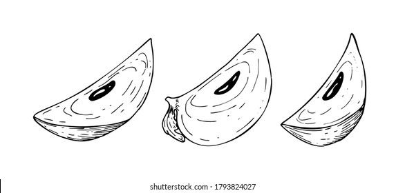 Conjunto de rodajas de persimón dibujadas a mano aisladas sobre fondo blanco. Ilustración vectorial en el estilo de esbozo
