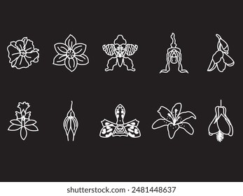 conjunto de dibujo a mano de perú machu picchu icono de contorno de flores .south america Vector pictograma aislado sobre fondo negro