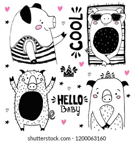 Set of hand drawn pig. Cute pig collection for prints and posters. New year 2019 symbol. Vector ink illustration