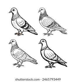 A Set of Hand Drawn Pigeon for Coloring Page