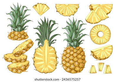 Set of hand drawn pineapples