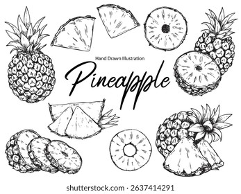 Set of hand drawn Pineapples outline drawing illustration