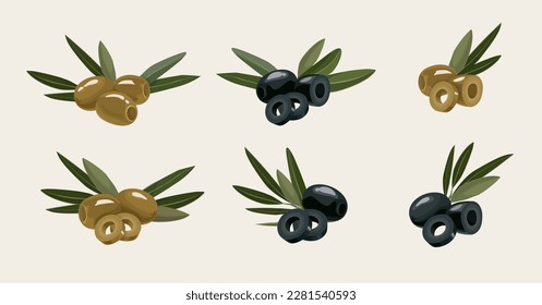 Set of hand drawn pitted black and green olives with olive leaves. Vector illustration