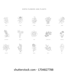 Set of hand drawn plant branches. Birth flowers. Greenery design elements. Botanical  logos.