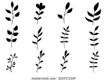 Set of Hand Drawn Plant and Flowers