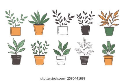 set of hand drawn plant in pot vector illustration