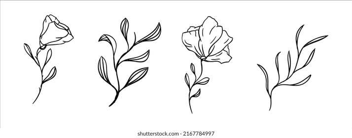 Set of Hand drawn plants 