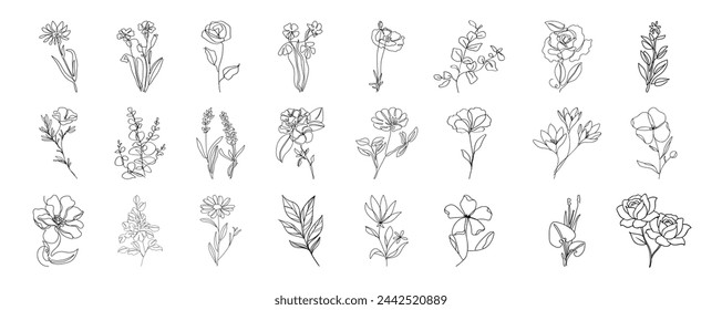 Set of hand drawn plants, leaves, flowers. Hand drawn thin floral botanical line art.