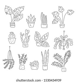 Set of hand drawn plants in pots. Hand drawn vector lettering illustration for postcard, t shirt, print, stickers, posters design.