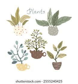 Set with hand drawn plants in potted. Set with cute plants.Vector illustration.