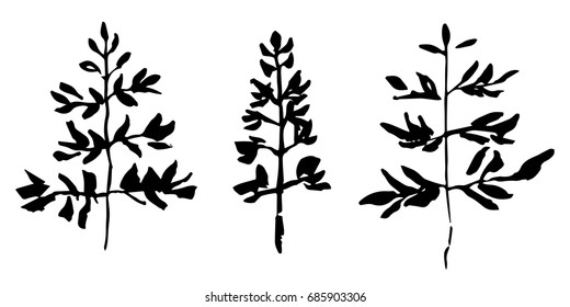 Set of hand drawn plants. Sketch style vector illustration. Leaves as element of design. Black image on white background.