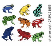 Set of hand drawn poison dart frogs in vibrant colors with spotted and striped patterns, cute stylized poses, isolated on white background illustration