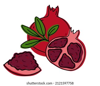 Set of hand drawn pomegranate whole and slice isolated on white background. Whole and cut fruits. Vector illustration in doodle style