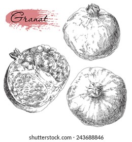 Set of hand drawn pomegranates