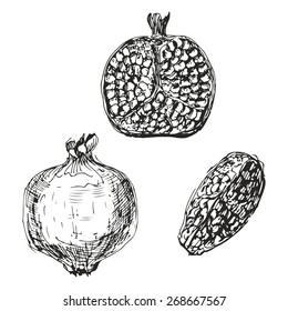Set of hand drawn pomegranates. Isolated on a white background