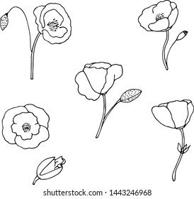 Set of hand drawn poppies. Vector sketch poppy flowers. Monochrome wildflowers collection.