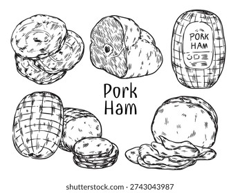 Set of hand drawn pork ham food illustration	