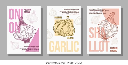 Conjunto de Posters desenhados à mão mostrando ilustrações vintage de cebola, alho e chalota. Visuais de plano de fundo projetados para capas, banners e cartazes.