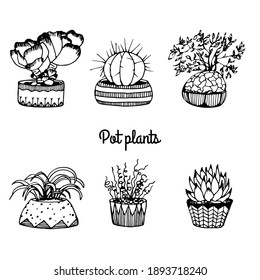 Set of hand drawn pot plants doodle style, black on white background