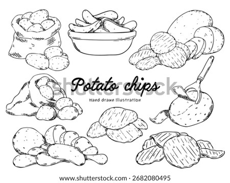 set of  hand drawn potato chips, raw and cut potatoes outline drawing illustration
