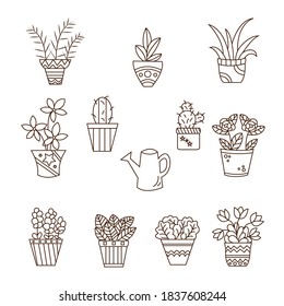 Set with  hand drawn pots with indoor plants in design vector