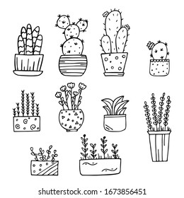 Set of hand drawn potted indoor flowers isolated on a white background. Doodle, simple outline illustration.