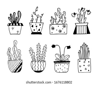 Conjunto de flores interiores macetas dibujadas a mano aisladas en un fondo blanco. Dibujo de dibujo simple.