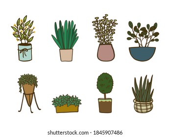 Set of hand drawn potted plants,  Succulents and house plants garden collection, Isolated on white background. Vector illustration, Cartoon doodle style.