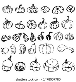 Set of hand drawn pumkins in simple graphical  style. Line and spot. Simple design for decorations. The thirty-one  pumpkins of  different types in a one set