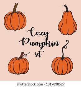 
set of hand drawn pumpkin vector illustration color images